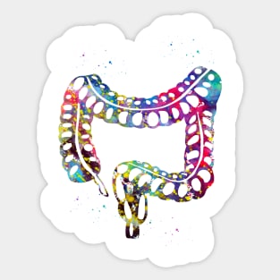 Lower gastrointestinal tract Sticker